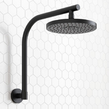 Euro 200mm Swivel Shower Arm & Head